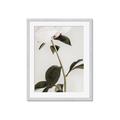 Picture of Romantic Blur Peony II _GroupedProduct_Rectangle_Portrait_Photography _GroupedProduct_Rectangle_Portrait_Framed_Matted_