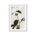 Picture of Romantic Blur Peony II _GroupedProduct_Rectangle_Portrait_Photography _GroupedProduct_Rectangle_Portrait_Framed_Matted_