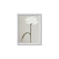 Picture of Romantic Blur Peony I _GroupedProduct_Rectangle_Portrait_Photography _GroupedProduct_Rectangle_Portrait_Framed_Matted_