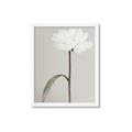 Picture of Romantic Blur Peony I _GroupedProduct_Rectangle_Portrait_Photography _GroupedProduct_Rectangle_Portrait_Framed_Matted_