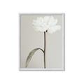 Picture of Romantic Blur Peony I _GroupedProduct_Rectangle_Portrait_Photography _GroupedProduct_Rectangle_Portrait_Framed_Matted_