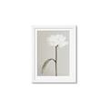 Picture of Romantic Blur Peony I _GroupedProduct_Rectangle_Portrait_Photography _GroupedProduct_Rectangle_Portrait_Framed_Matted_