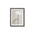 Picture of Romantic Blur Peony I _GroupedProduct_Rectangle_Portrait_Photography _GroupedProduct_Rectangle_Portrait_Framed_Matted_