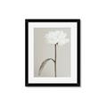 Picture of Romantic Blur Peony I _GroupedProduct_Rectangle_Portrait_Photography _GroupedProduct_Rectangle_Portrait_Framed_Matted_