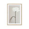 Picture of Romantic Blur Peony I _GroupedProduct_Rectangle_Portrait_Photography _GroupedProduct_Rectangle_Portrait_Framed_Matted_