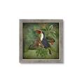 Picture of Tropical Paradise Toucan Bird _GroupedProduct_Square_Framed_Matted_