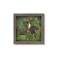 Picture of Tropical Paradise Toucan Bird _GroupedProduct_Square_Framed_Matted_