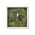 Picture of Tropical Paradise Toucan Bird _GroupedProduct_Square_Framed_Matted_