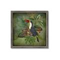Picture of Tropical Paradise Toucan Bird _GroupedProduct_Square_Framed_Matted_