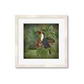 Picture of Tropical Paradise Toucan Bird _GroupedProduct_Square_Framed_Matted_