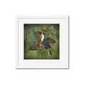 Picture of Tropical Paradise Toucan Bird _GroupedProduct_Square_Framed_Matted_