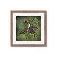 Picture of Tropical Paradise Toucan Bird _GroupedProduct_Square_Framed_Matted_