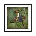 Picture of Tropical Paradise Toucan Bird _GroupedProduct_Square_Framed_Matted_