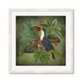 Picture of Tropical Paradise Toucan Bird _GroupedProduct_Square_Framed_Matted_