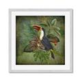 Picture of Tropical Paradise Toucan Bird _GroupedProduct_Square_Framed_Matted_