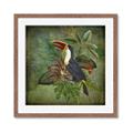 Picture of Tropical Paradise Toucan Bird _GroupedProduct_Square_Framed_Matted_