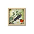 Picture of Tropical Paradise Birds Garden _GroupedProduct_Square_Framed_Matted_