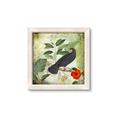 Picture of Tropical Paradise Birds Garden _GroupedProduct_Square_Framed_Matted_
