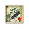 Picture of Tropical Paradise Birds Garden _GroupedProduct_Square_Framed_Matted_