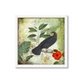 Picture of Tropical Paradise Birds Garden _GroupedProduct_Square_Framed_Matted_