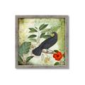 Picture of Tropical Paradise Birds Garden _GroupedProduct_Square_Framed_Matted_