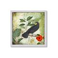 Picture of Tropical Paradise Birds Garden _GroupedProduct_Square_Framed_Matted_