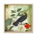 Picture of Tropical Paradise Birds Garden _GroupedProduct_Square_Framed_Matted_
