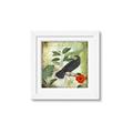Picture of Tropical Paradise Birds Garden _GroupedProduct_Square_Framed_Matted_