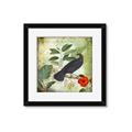 Picture of Tropical Paradise Birds Garden _GroupedProduct_Square_Framed_Matted_