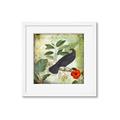 Picture of Tropical Paradise Birds Garden _GroupedProduct_Square_Framed_Matted_