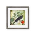 Picture of Tropical Paradise Birds Garden _GroupedProduct_Square_Framed_Matted_