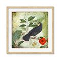 Picture of Tropical Paradise Birds Garden _GroupedProduct_Square_Framed_Matted_