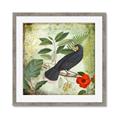 Picture of Tropical Paradise Birds Garden _GroupedProduct_Square_Framed_Matted_