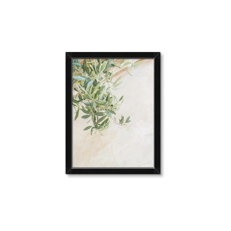 Picture of Few Olive Tree Leaves _GroupedProduct_Rectangle_Portrait_Photography _GroupedProduct_Rectangle_Portrait_Framed_Matted_