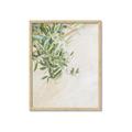 Picture of Few Olive Tree Leaves _GroupedProduct_Rectangle_Portrait_Photography _GroupedProduct_Rectangle_Portrait_Framed_Matted_