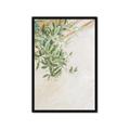 Picture of Few Olive Tree Leaves _GroupedProduct_Rectangle_Portrait_Photography _GroupedProduct_Rectangle_Portrait_Framed_Matted_