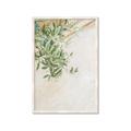 Picture of Few Olive Tree Leaves _GroupedProduct_Rectangle_Portrait_Photography _GroupedProduct_Rectangle_Portrait_Framed_Matted_