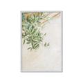 Picture of Few Olive Tree Leaves _GroupedProduct_Rectangle_Portrait_Photography _GroupedProduct_Rectangle_Portrait_Framed_Matted_