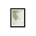 Picture of Few Olive Tree Leaves _GroupedProduct_Rectangle_Portrait_Photography _GroupedProduct_Rectangle_Portrait_Framed_Matted_