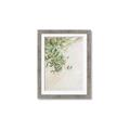 Picture of Few Olive Tree Leaves _GroupedProduct_Rectangle_Portrait_Photography _GroupedProduct_Rectangle_Portrait_Framed_Matted_
