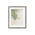 Picture of Few Olive Tree Leaves _GroupedProduct_Rectangle_Portrait_Photography _GroupedProduct_Rectangle_Portrait_Framed_Matted_