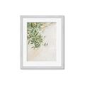 Picture of Few Olive Tree Leaves _GroupedProduct_Rectangle_Portrait_Photography _GroupedProduct_Rectangle_Portrait_Framed_Matted_