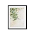 Picture of Few Olive Tree Leaves _GroupedProduct_Rectangle_Portrait_Photography _GroupedProduct_Rectangle_Portrait_Framed_Matted_