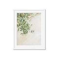 Picture of Few Olive Tree Leaves _GroupedProduct_Rectangle_Portrait_Photography _GroupedProduct_Rectangle_Portrait_Framed_Matted_