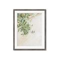 Picture of Few Olive Tree Leaves _GroupedProduct_Rectangle_Portrait_Photography _GroupedProduct_Rectangle_Portrait_Framed_Matted_