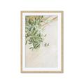 Picture of Few Olive Tree Leaves _GroupedProduct_Rectangle_Portrait_Photography _GroupedProduct_Rectangle_Portrait_Framed_Matted_