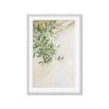 Picture of Few Olive Tree Leaves _GroupedProduct_Rectangle_Portrait_Photography _GroupedProduct_Rectangle_Portrait_Framed_Matted_