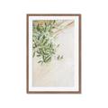 Picture of Few Olive Tree Leaves _GroupedProduct_Rectangle_Portrait_Photography _GroupedProduct_Rectangle_Portrait_Framed_Matted_