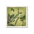 Picture of Vintage Tropical Birds I _GroupedProduct_Square_Framed_Matted_