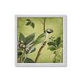 Picture of Vintage Tropical Birds I _GroupedProduct_Square_Framed_Matted_